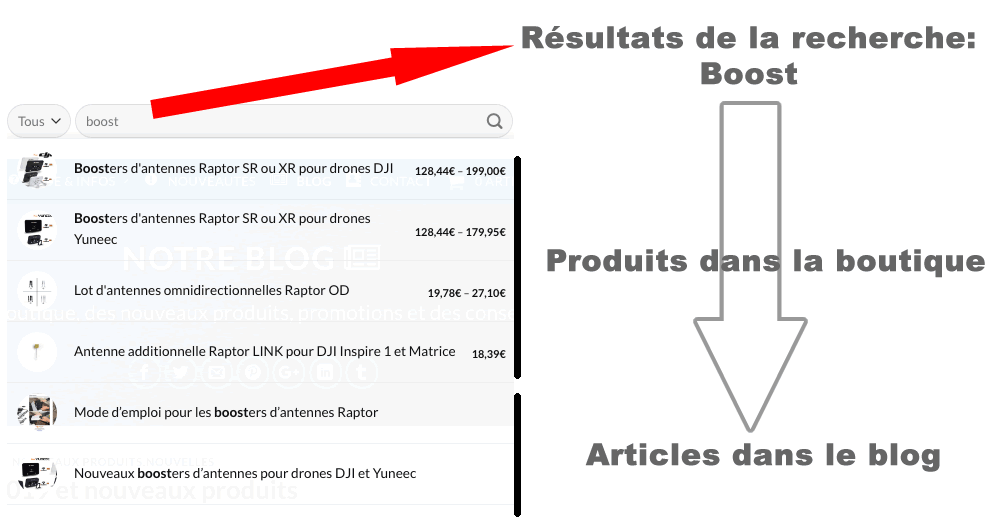 Barre de recherche